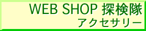 �A�N�Z�T���[ web shop �T����
